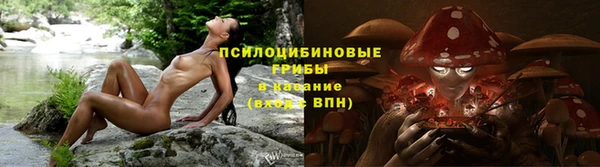 крисы Горняк