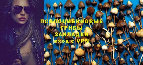 крисы Горно-Алтайск